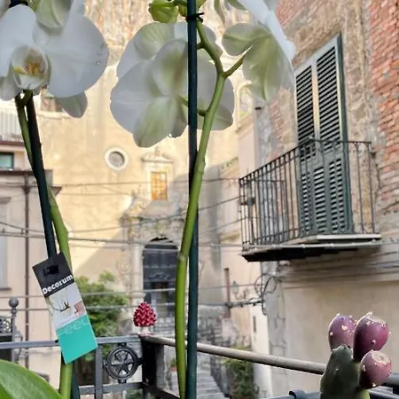 Appartement Pmaison Cefalù